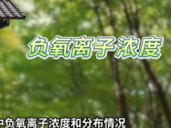 空氣凈化機-負氧離子監(jiān)測站